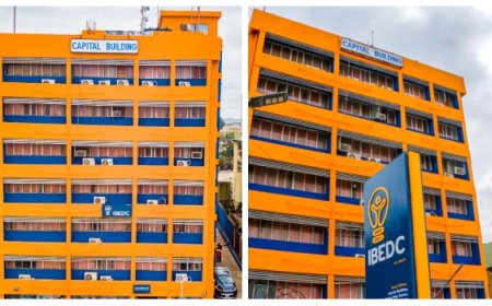 IBEDC Resumes Installation Of Over 55,000 Free Meters, Warns Against Extortion