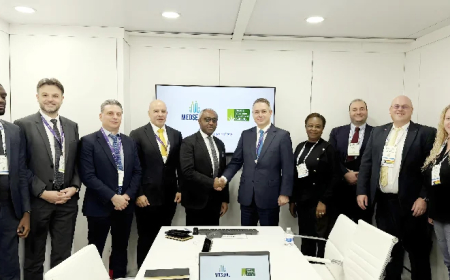 NSIA, GE HealthCare partner to boost diagnostic capacity