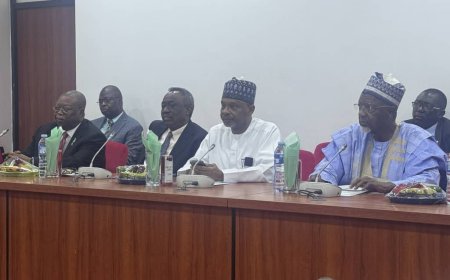 Senate foreign affairs committee clears Oke, Are, Dalhatu for ambassadorial roles