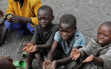 Report of 96,000 malnourished children at death risk in 6 northern states raises concern