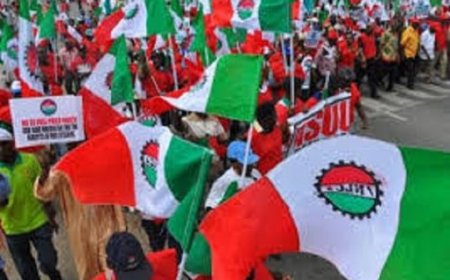 NLC to hold nationwide protest on December 17 over worsening insecurity