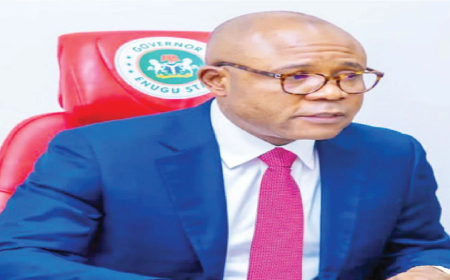 Enugu inaugurates task force to end gender violence