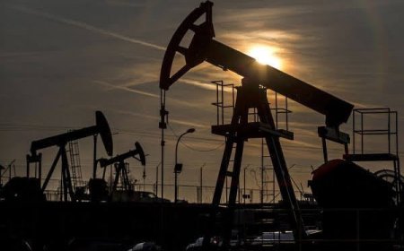Nigeria’s oil output rose to 1.43m bpd in November — highest in three months