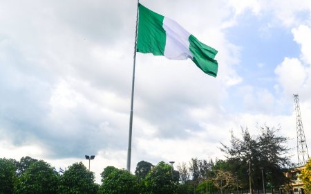 Nigeria losing economic value to foreign markets despite tech push — Analyst