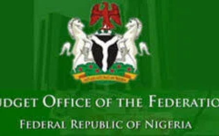 Salaries, debt service gulp 105% of govt revenue