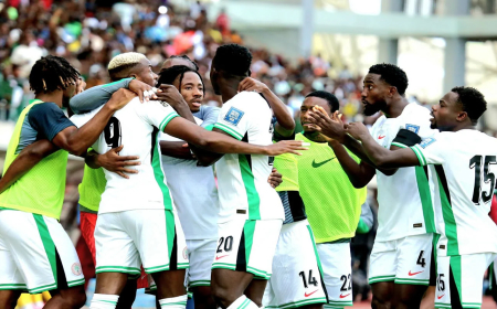 Profiling Nigeria’s 28-man AFCON squad as Eagles land in Morocco