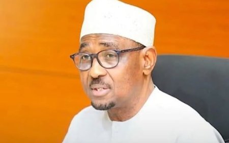 NMDPRA CEO Farouk Ahmed resigns after meeting with Tinubu