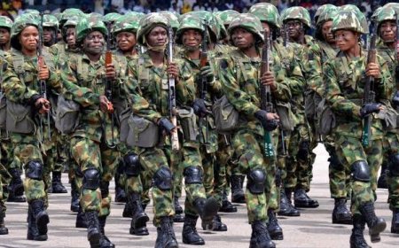 Troops foil terrorist logistics movement, neutralise 17 insurgents in Borno ambush