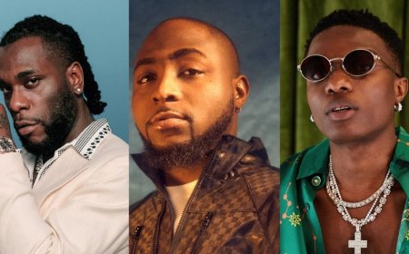 Nigerian artists earn $395m from touring and live performances