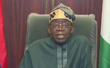 Tinubu Engages Businessman Arthur Eze To Commercialise Research, Innovation