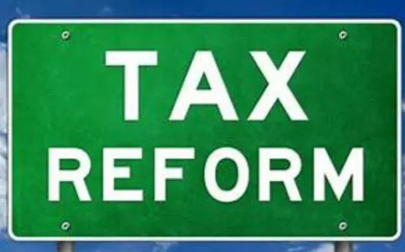 Companies to retain tax holidays for 2yrs under new law