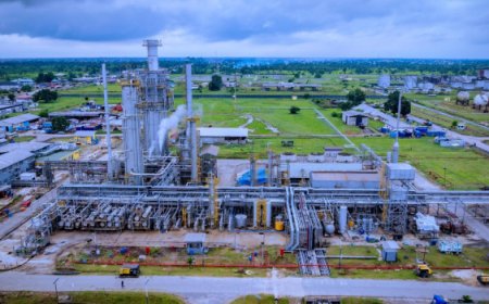 Why FG Should Not Sell 100% Stake In Refineries – PENGASSAN