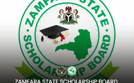 Zamfara announces nursing scholarships for female students