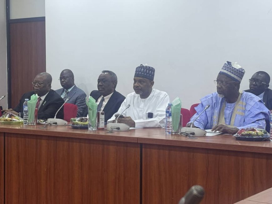 Senate foreign affairs committee clears Oke, Are, Dalhatu for ambassadorial roles