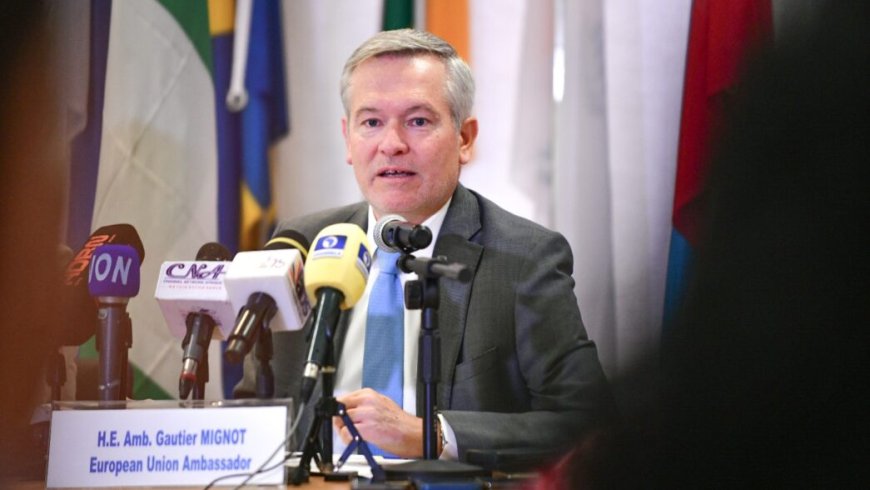 Envoy: Nigeria hit $10bn trade surplus with EU in 2025