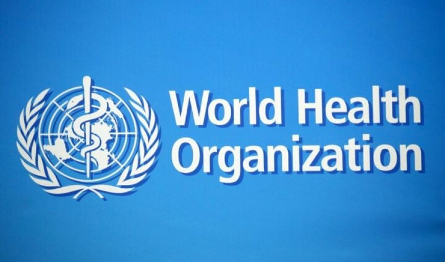 WHO to unveil initiatives promoting safe, science-backed traditional medicine