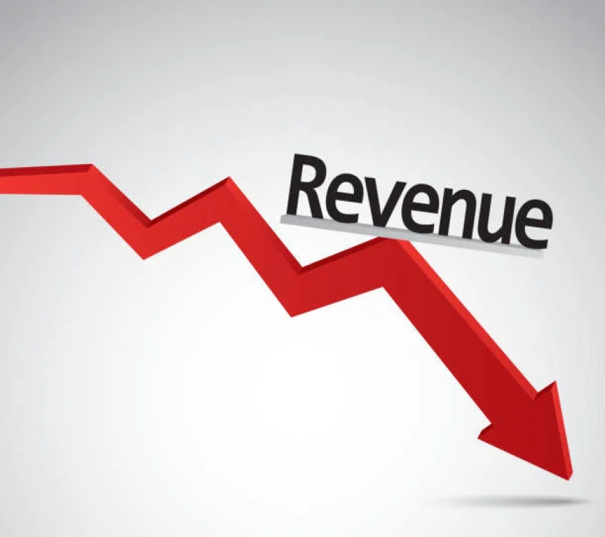 Economists flag revenue, debt risks in 2026