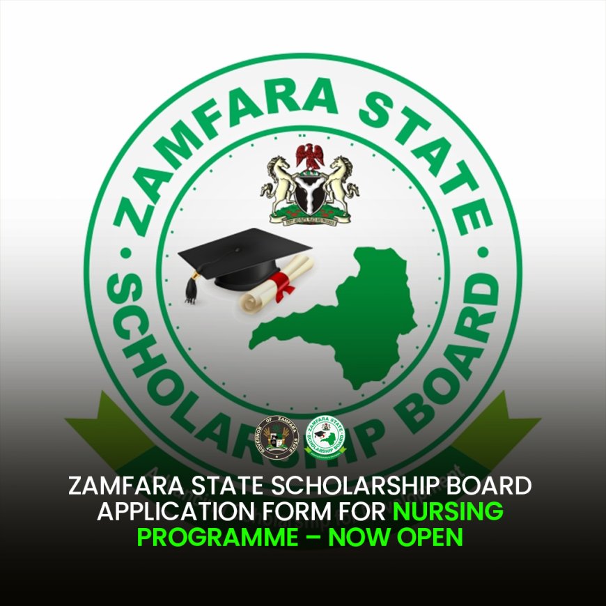 Zamfara announces nursing scholarships for female students