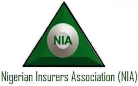 NIA to set up recapitalisation help desk