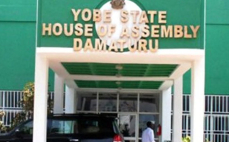 Drug Abuse Control Bill Scales Second Reading At Yobe Assembly