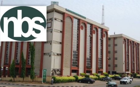 2026 outlook: key sectors to drive economy by ex-NBS boss
