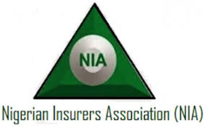 NIA to set up recapitalisation help desk
