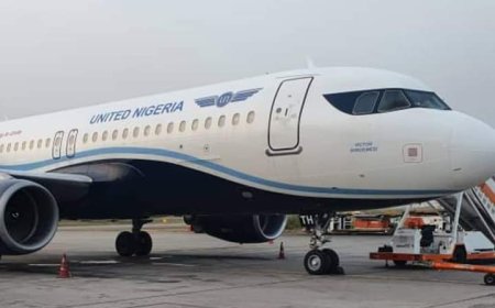 United Nigeria withdraws two aircraft over bird strikes, says flights will be disrupted