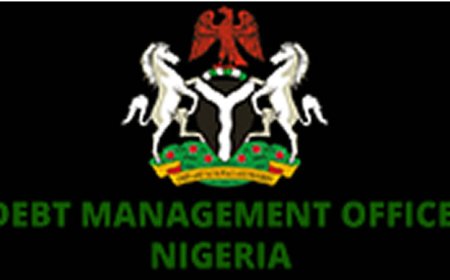 Why is DMO hoarding Public Debt data?