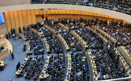 Water sustainability, debt concessions… five takeaways from the 39th AU summit