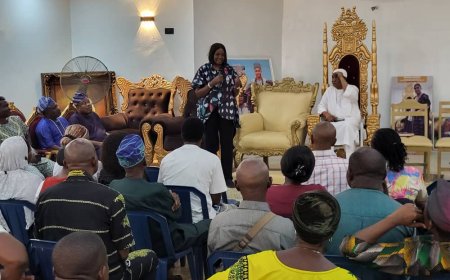 Ogun tests 500 residents for lead poisoning in major health audit