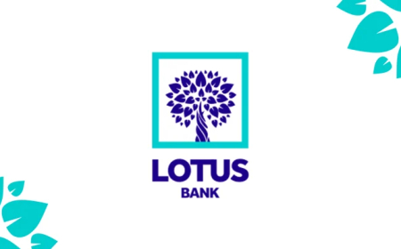 LOTUS Bank, REA collaborate on N100bn renewable energy financing