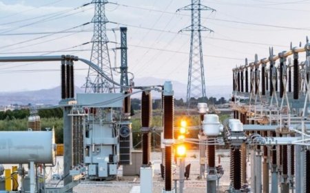 GenCos dispute N2.8trn debt settlement approved by presidency