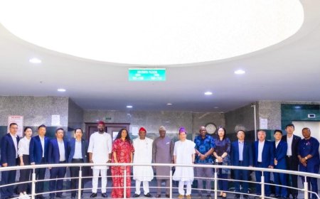 FG in talks with Chinese firm over $5.7bn power, mining investment