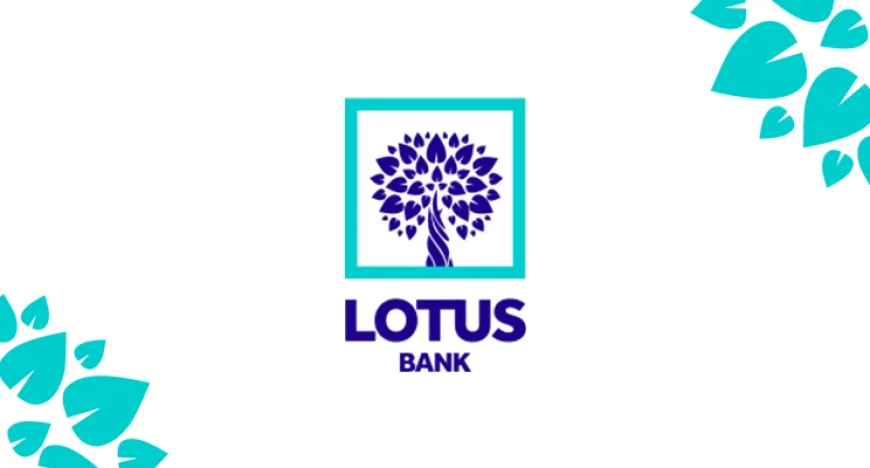 LOTUS Bank, REA collaborate on N100bn renewable energy financing