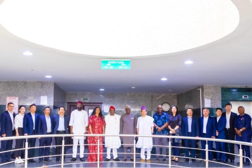 FG in talks with Chinese firm over $5.7bn power, mining investment