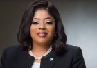Onyeali-Ikpe, Rewane urge Nigerians in diaspora to invest in local economy