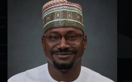 REA to spend N100bn on hybrid mini-grids for govt agencies in 2026