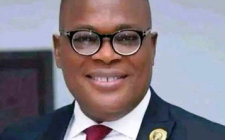 Nigeria eyes $2.5b carbon credit