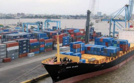 Lekki Deep Sea Port records highest cargo throughput in Nigeria for 2025