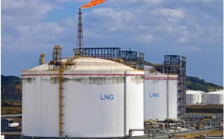 Nigeria LNG cargo diverted to Asia amid price surge