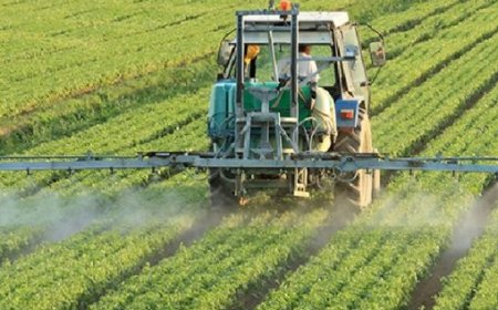 FAO, UM6P deepen climate-smart agriculture