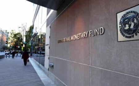 IMF begins assessment of Nigeria’s economy, to engage senate on Tinubu’s reforms