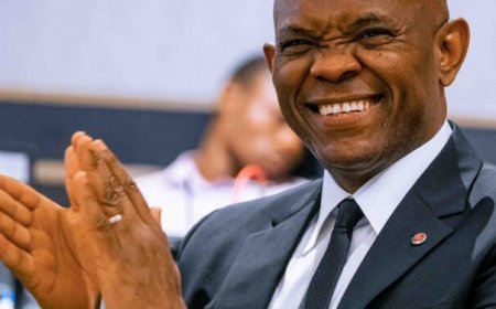 Tony Elumelu deploys $100 million seed capital to support African startups