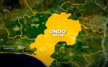 Ondo trains over 1, 000 livestock farmers in modern techniques