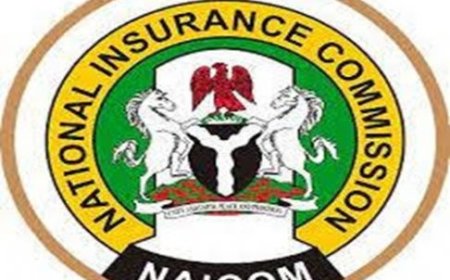 20 insurers set for NAICOM’srecapitalisation verification