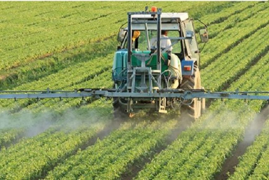 FAO, UM6P deepen climate-smart agriculture