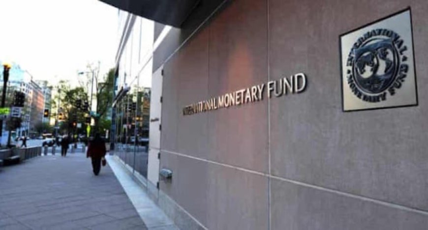 IMF begins assessment of Nigeria’s economy, to engage senate on Tinubu’s reforms