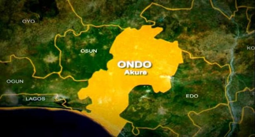 Ondo trains over 1, 000 livestock farmers in modern techniques