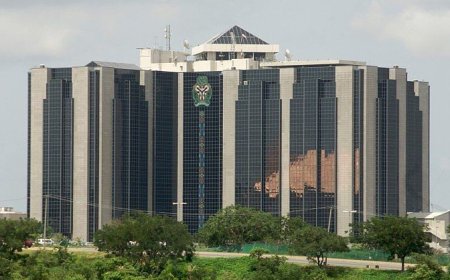 CBN, EFInA push reforms to bridge gender financial gap