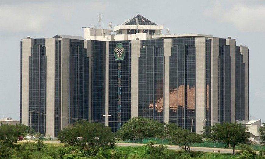 CBN, EFInA push reforms to bridge gender financial gap